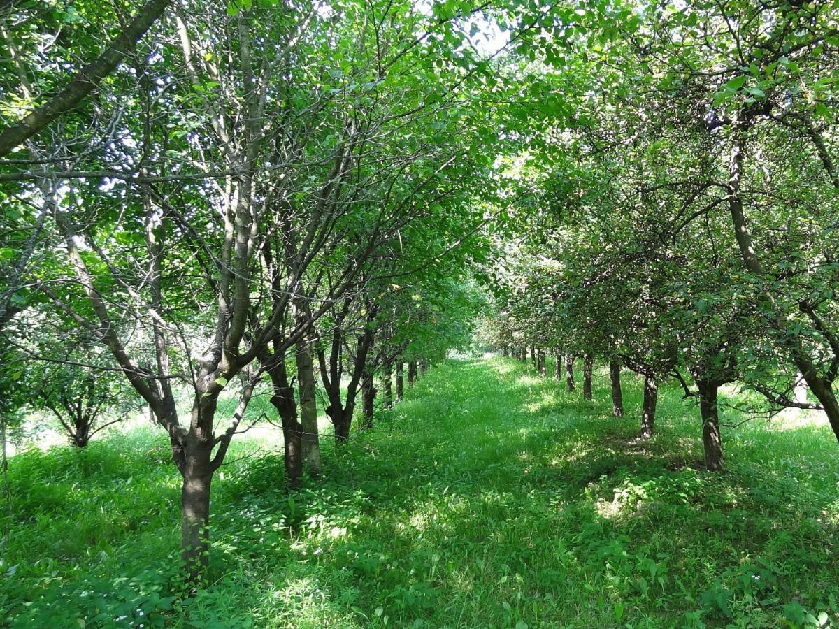 Apartament Parkowy Nałęczów Buitenkant foto